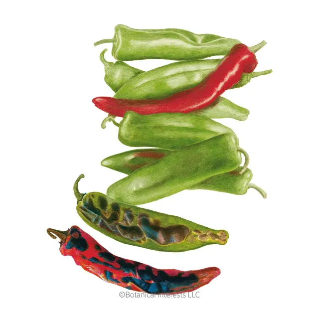 Epic Gardening NuMex Heritage Big Jim Hatch Chile Pepper Seeds