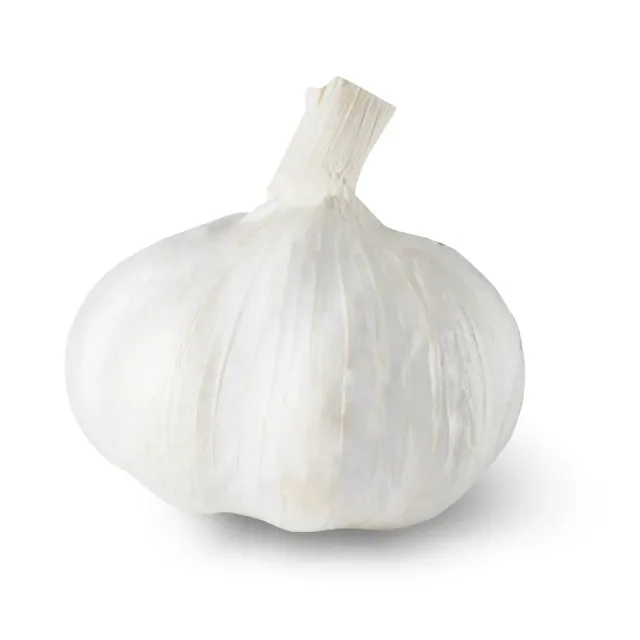 Epic Gardening Silver White Garlic Bulbs Organic 10-12 Cloves