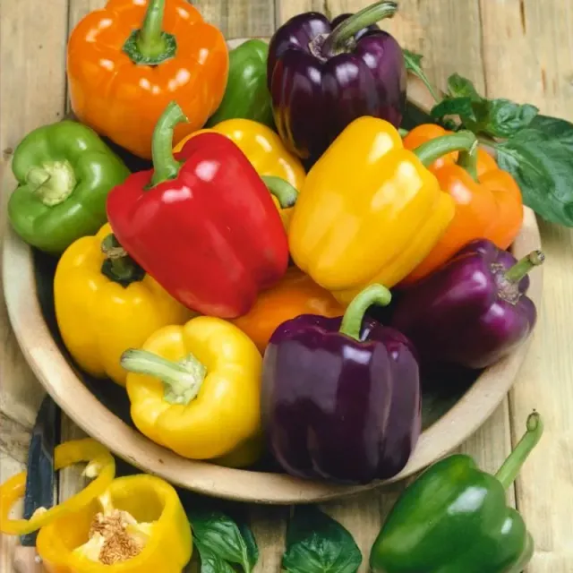 Pinetree Rainbow Blend Pepper Seeds 30 Seeds Organic