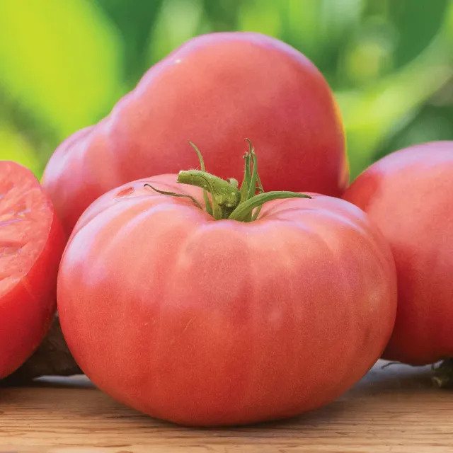Burpee Arkansas Traveler Tomato Seeds 50 Organic Seeds Pink