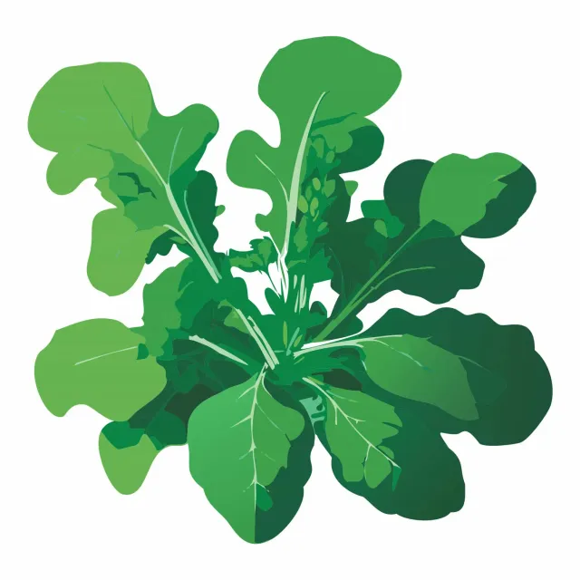 Epic Gardening Slow Bolt Arugula Seeds Peppery Heat Tolerant