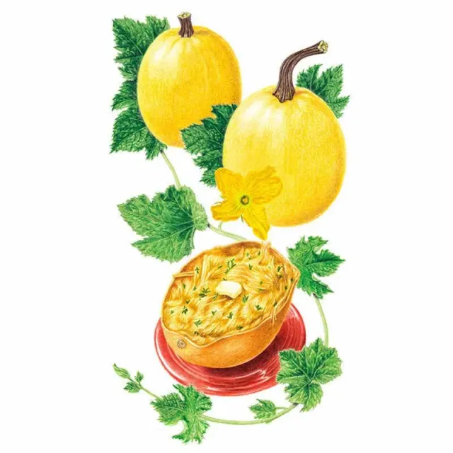 Epic Gardening Angel Hair Winter Spaghetti Squash Seeds