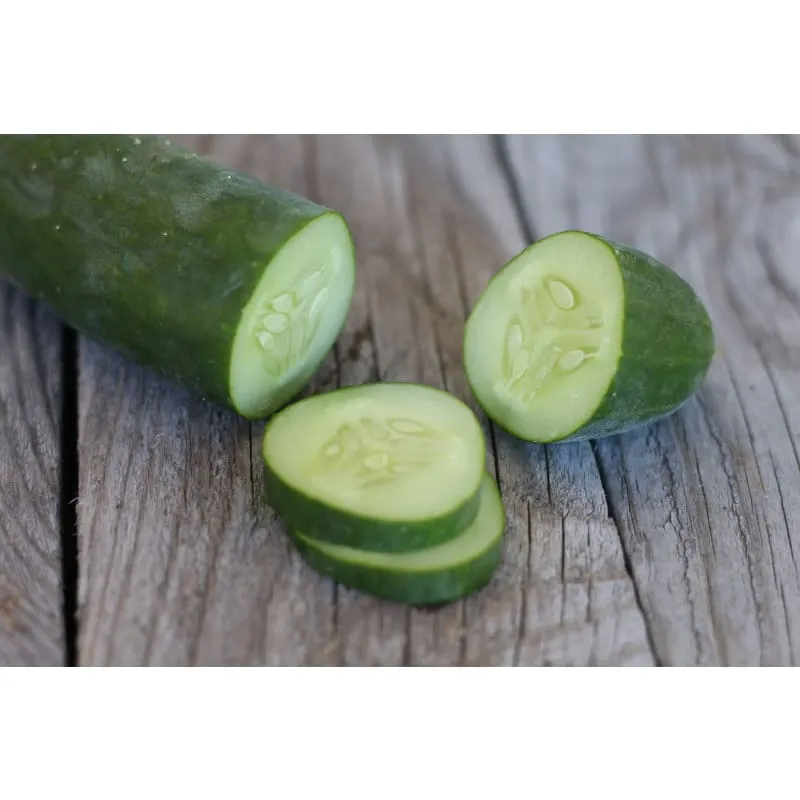 Pinetree Garden Seeds Diva Cucumber Seeds 20 Seeds Seedless