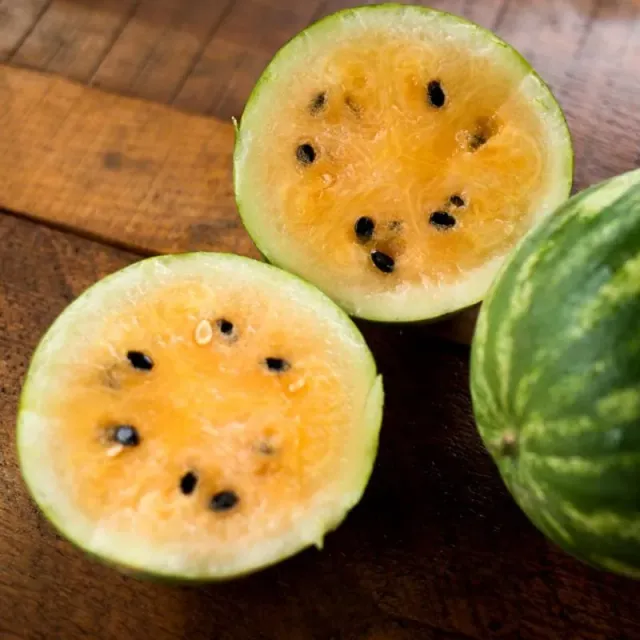 Pinetree Garden Seeds Yellow Petite Watermelon Vegetable Seeds 20 Seeds Sweet