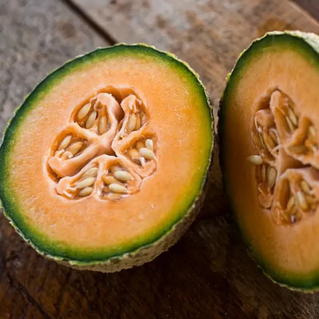 Pinetree Garden Seeds Honey Rock Melon Seeds 20 Seeds Heirloom