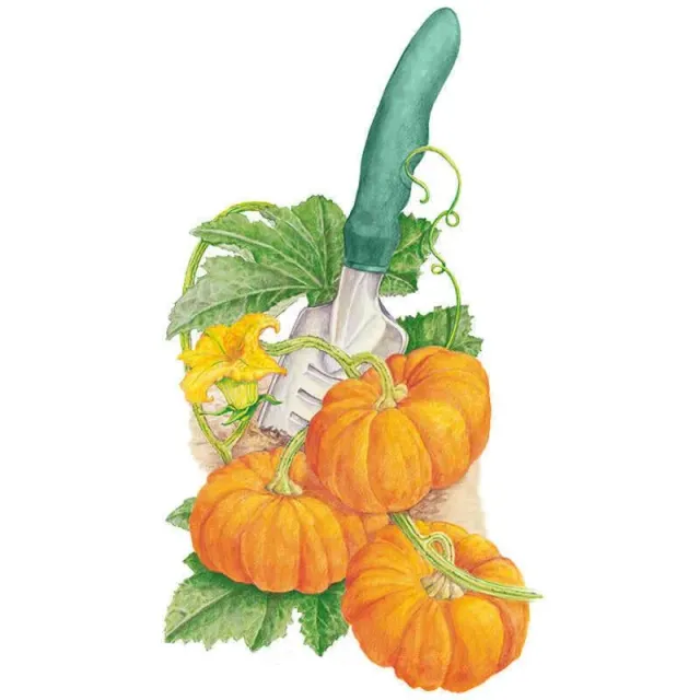 Epic Gardening Jack Be Little Pumpkin Seeds Mini 3-Inch