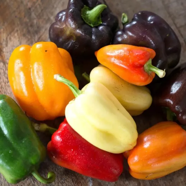 Pinetree Garden Seeds Kaleidoscope Mix Pepper Seeds 40 Seeds Sweet