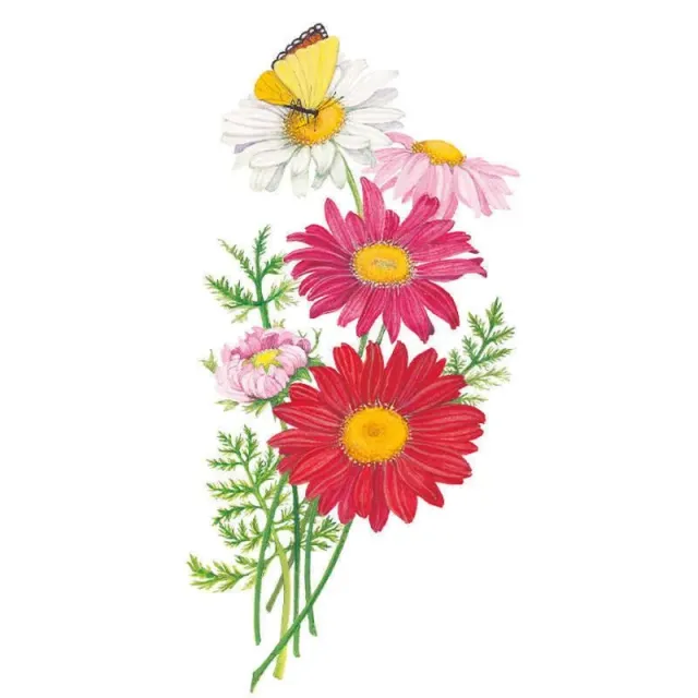 Epic Gardening Robinson's Blend Painted Daisy Seeds Perennial Cut Flower