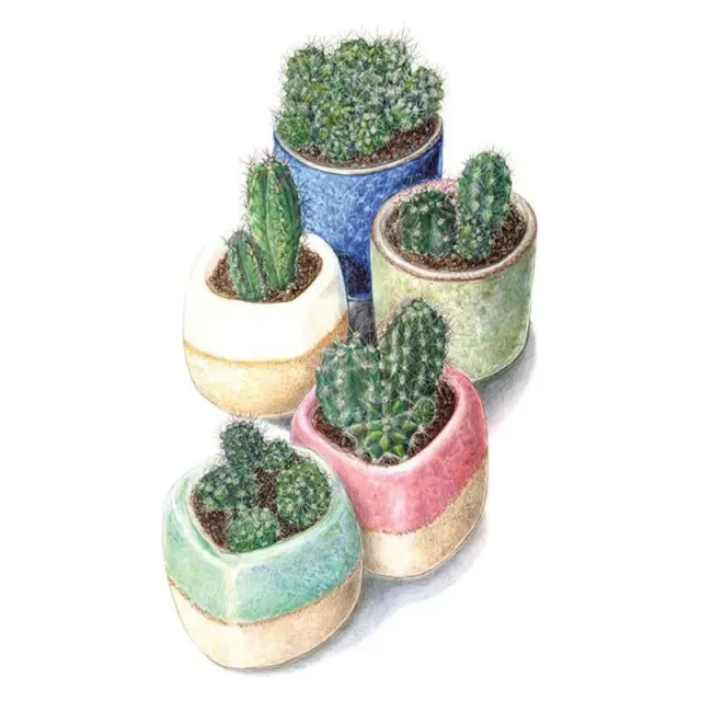 Epic Gardening All Kinds and Forms Mixed Cactus Seeds 6-Variety