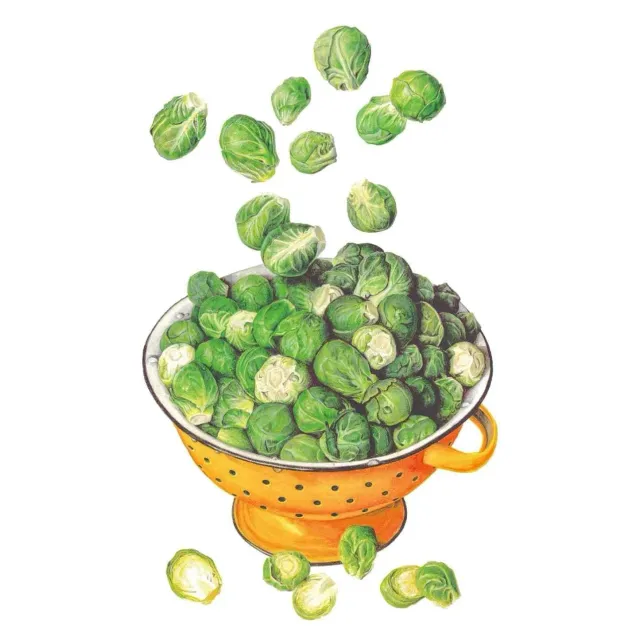 Epic Gardening Silvia Brussels Sprouts Seeds