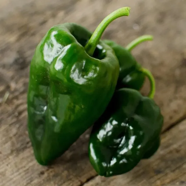 Pinetree Garden Seeds Ancho Hot Pepper seeds 20 seeds mild