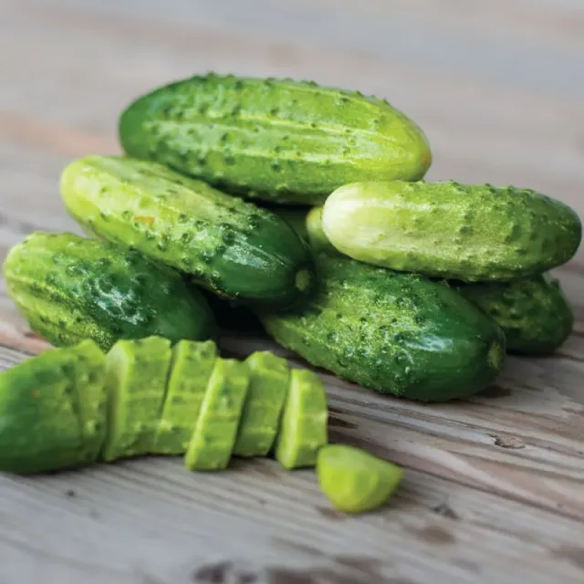 Pinetree Garden Seeds Boston Pickling Cucumber Seeds 20 Seeds Heirloom