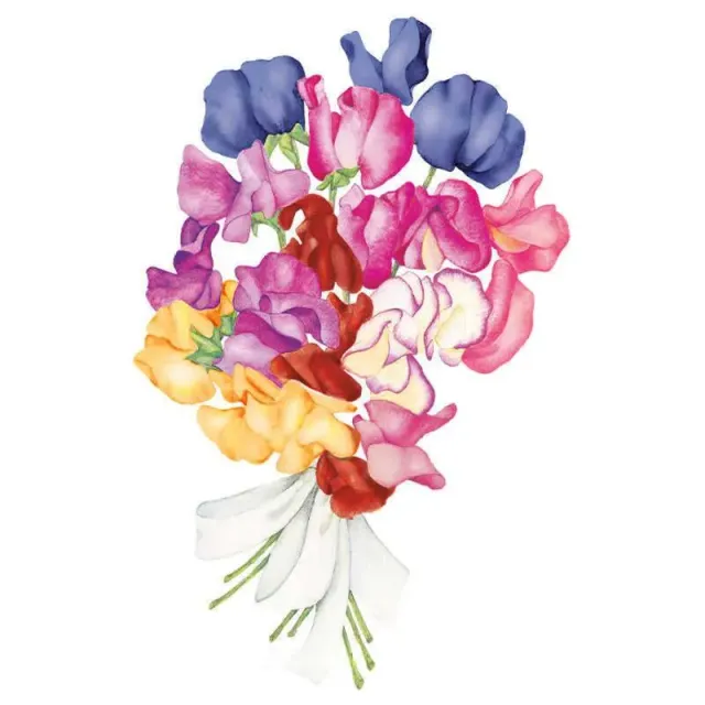Epic Gardening Perfume Delight Sweet Pea Flower Seeds Blend