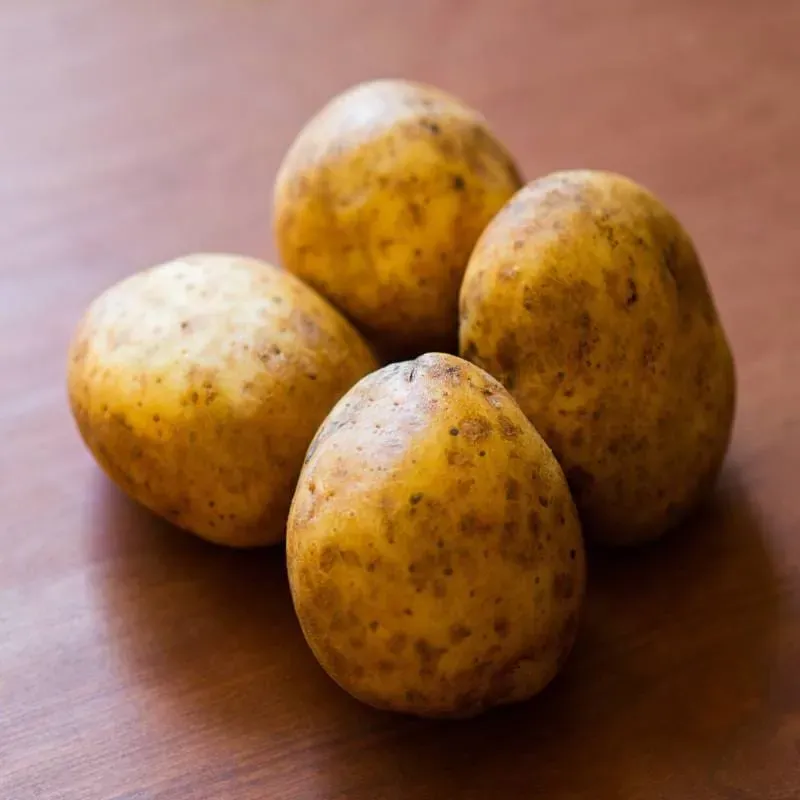 Pinetree Garden Seeds Yukon Gold Potato Tubers 2 Lb Early Season