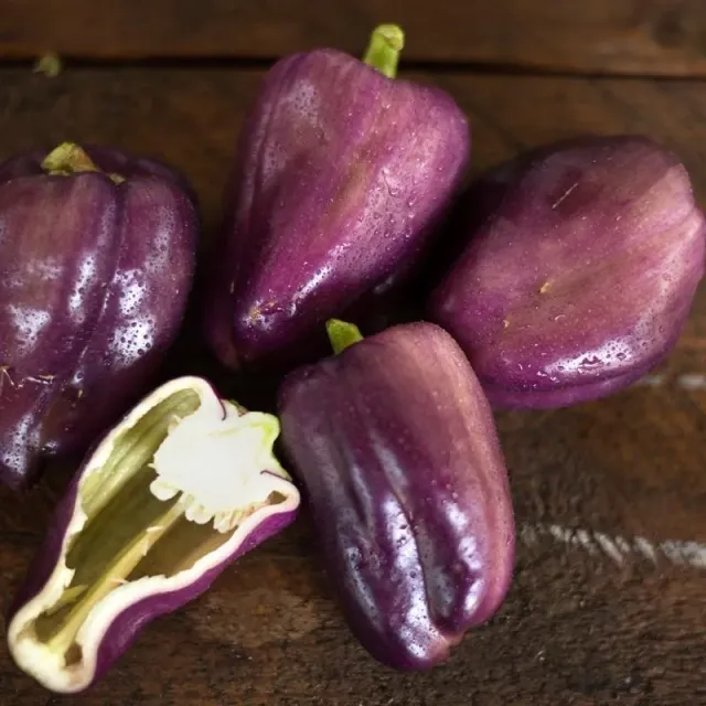 Pinetree Garden Seeds Lilac Bell (70 Days) Bell Pepper Seeds 20 Seeds Sweet