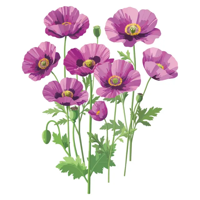 Epic Gardening Hungarian Blue Bread Seed Poppy Organic