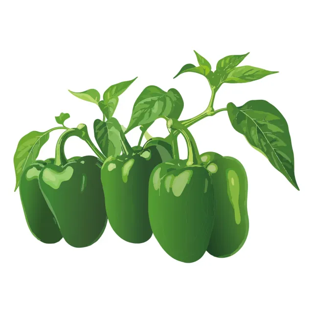 Epic Gardening Emerald Giant Sweet Pepper Seeds Thick-Walled