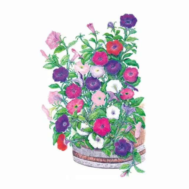 Epic Gardening Petite Charmer Blend Petunia Seeds Compact Mix