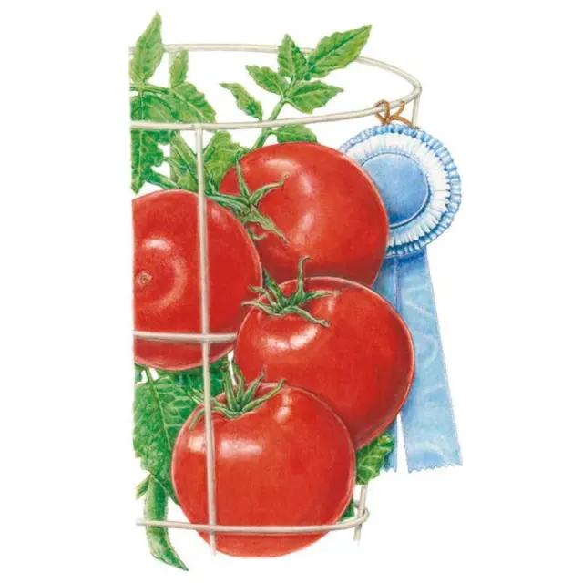 Epic Gardening Mountain Merit Bush Tomato Seeds Slicer