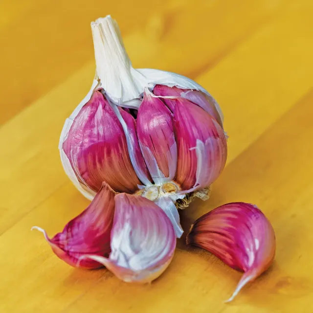 Burpee Ajo Rojo Garlic Bulbs