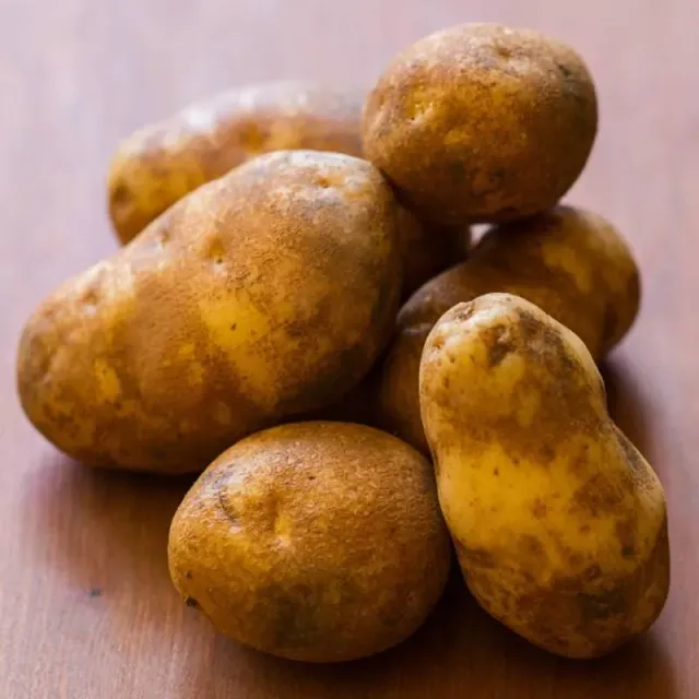 Pinetree Garden Seeds Russet Burbank Potato Tubers 2lb Late