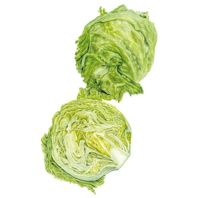 Epic Gardening Great Lakes 118 Lettuce Seeds Crisphead