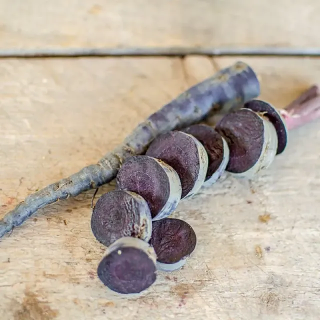 Pinetree Garden Seeds Black Nebula Carrot Seeds 300 Seeds Purple