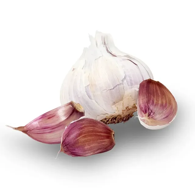 Epic Gardening Creole Red Hardneck Garlic Organic Braidable