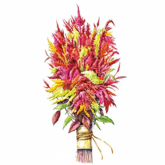 Epic Gardening Pampas Plume Tall Blend Celosia Seeds Cut Flower