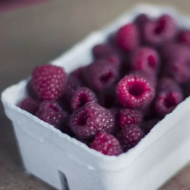 Pinetree Royalty Purple Raspberry Plants 3 Bare Roots