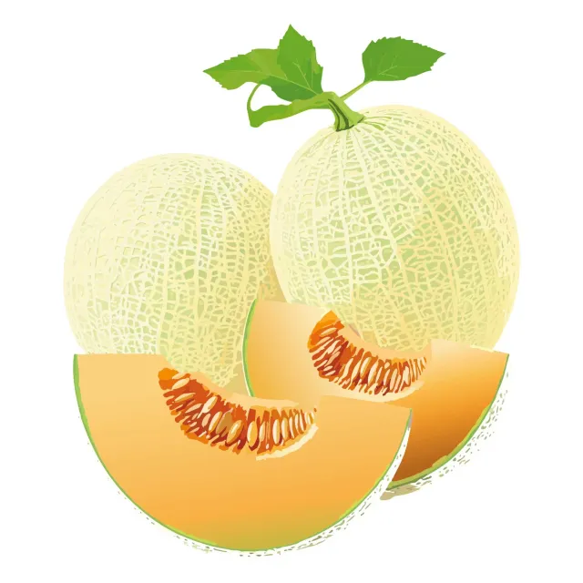 Epic Gardening Honey Rock Cantaloupe Seeds Heirloom Sweet