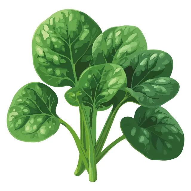 Epic Gardening Jeep Spinach Vegetable Seeds Fast Mix