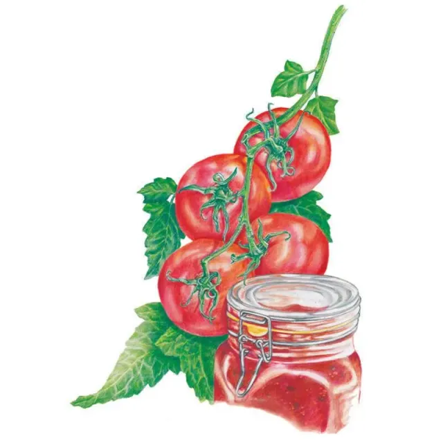Epic Gardening Ace 55 Bush Tomato Seeds Determinate Organic
