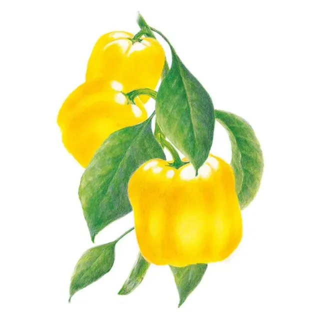Epic Gardening Golden Cal Wonder Sweet Pepper Seeds Yellow