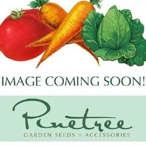 Pinetree Garden Seeds Winter Squash Blend Vegetable Seeds 100 Seeds
