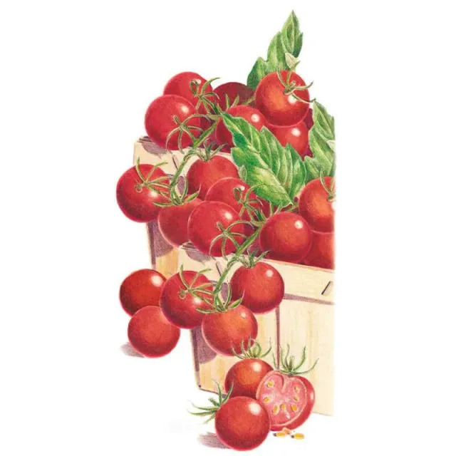 Epic Gardening Sweetie Pole Cherry Tomato Seeds - Early Sweet