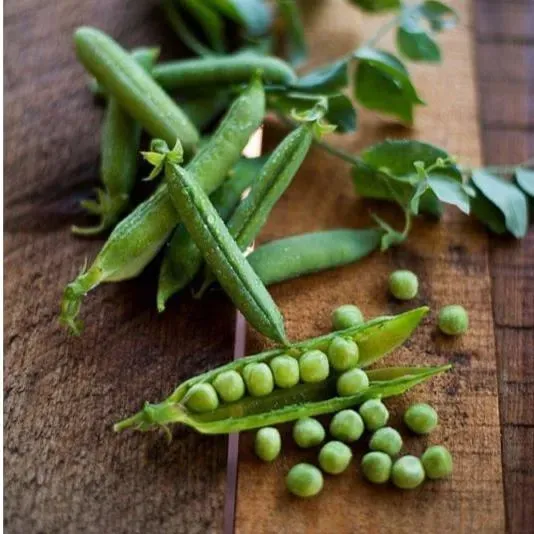 Pinetree Garden Seeds Green Arrow Pea Seeds Shelling 63 Days