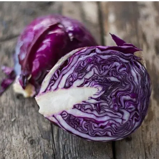 Pinetree Garden Seeds Primero Cabbage Seeds 30 Seeds Red Hybrid
