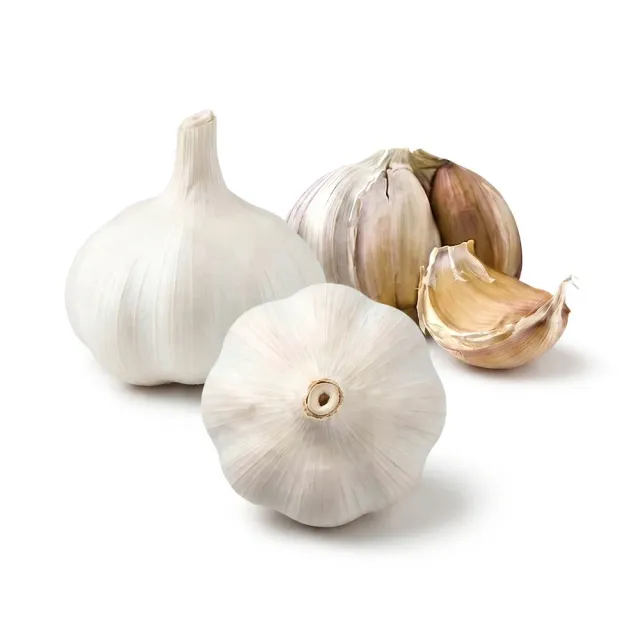 Epic Gardening Flavor Sampler Garlic Bulbs 3 Bulb