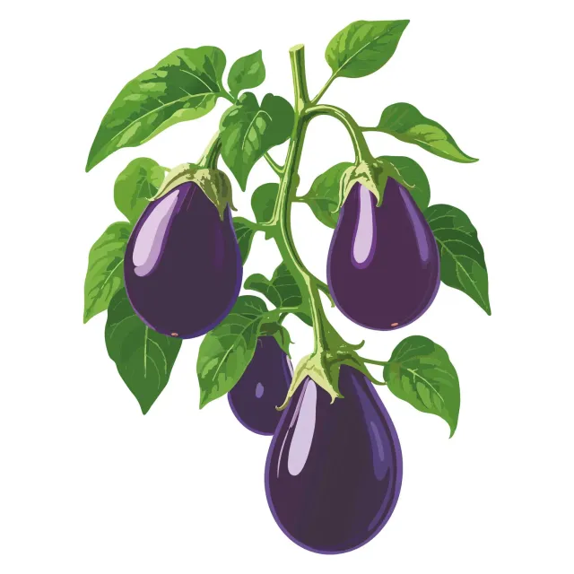 Epic Gardening Black Beauty Eggplant Vegetable Seeds