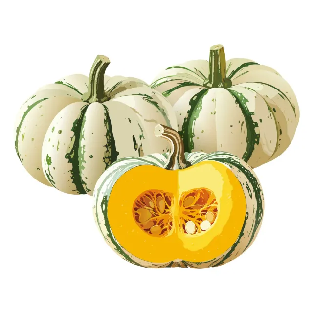 Epic Gardening Sweet Dumpling Winter Squash Vegetable Seeds Striped