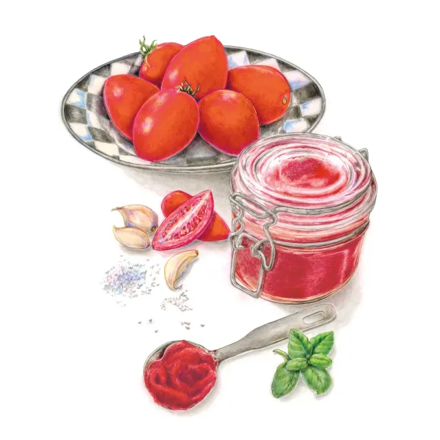 Epic Gardening Amish Paste Tomato Seeds Organic