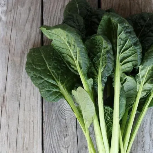 Pinetree Garden Seeds Komatsuna Mustard Spinach Seeds 100 Bolt Resistant