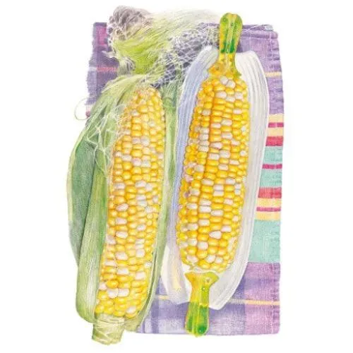 Epic Gardening Honey and Cream Sweet Corn Seeds
